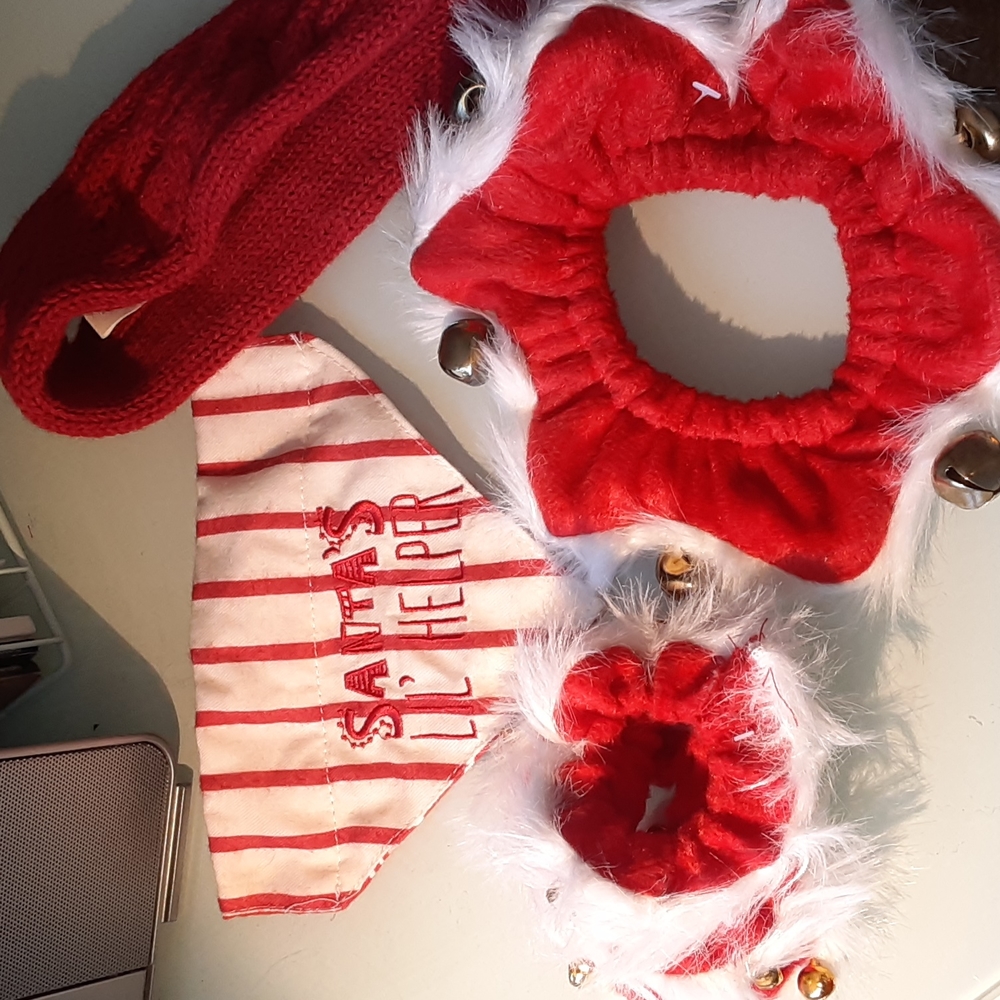 Never used dog clothes.